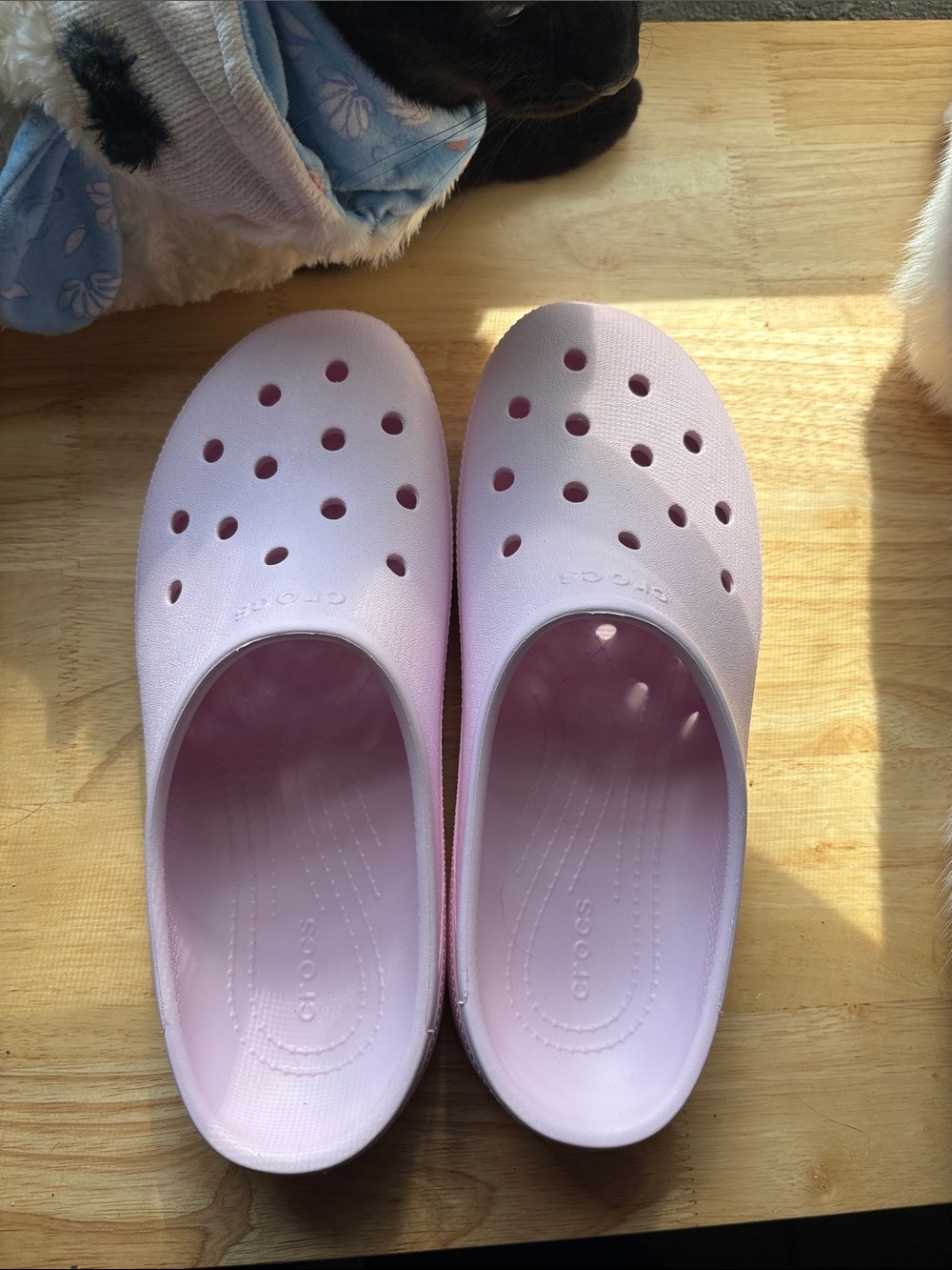 CROCS Classic Clogs in Pale Pink